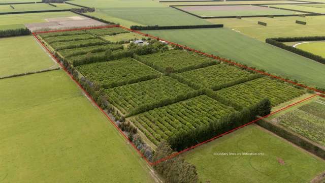 764 Courtenay Road Charing Cross_2