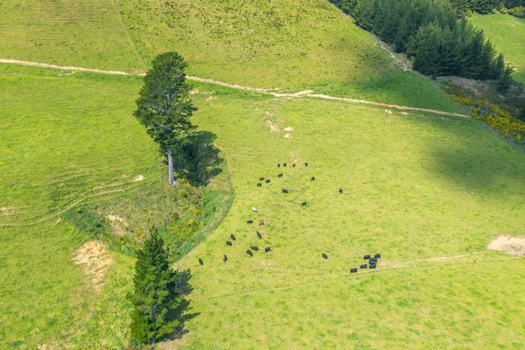 650 Ronga Road Rai Valley_36