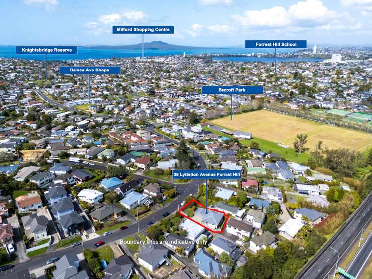 38 Lyttelton Avenue Forrest Hill_19