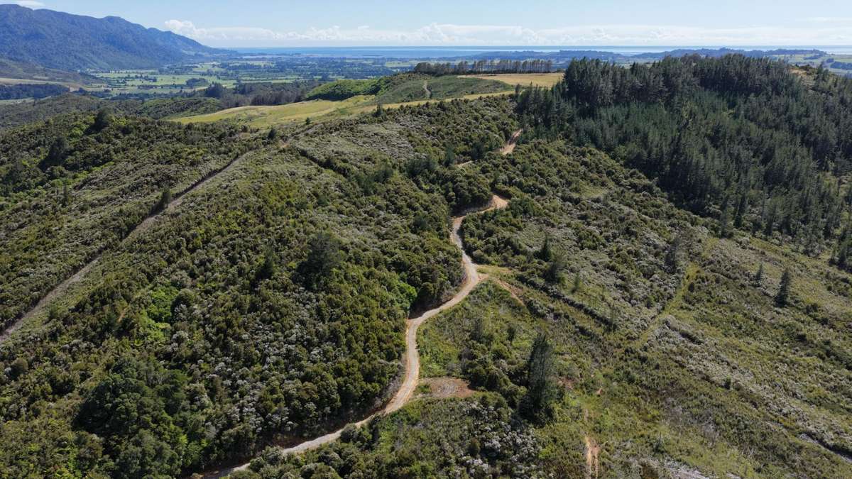 1419 Collingwood-Bainham Main Road | Collingwood | Tasman | Rural ...