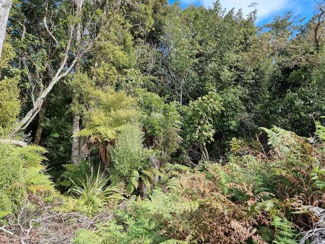 Part of 9 Smith Place Stewart Island_1