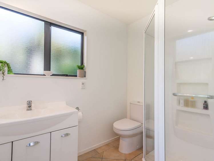 48d Konini Road Titirangi_13