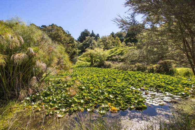 189 Thompsons Track Katikati_36