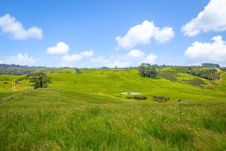 515 Kahikatea Flat Road Waitoki_14