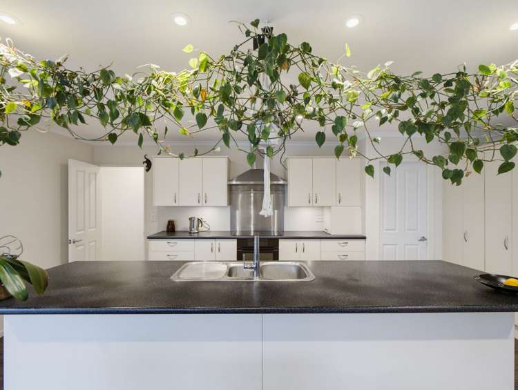 151 Shaw Avenue New Brighton_5