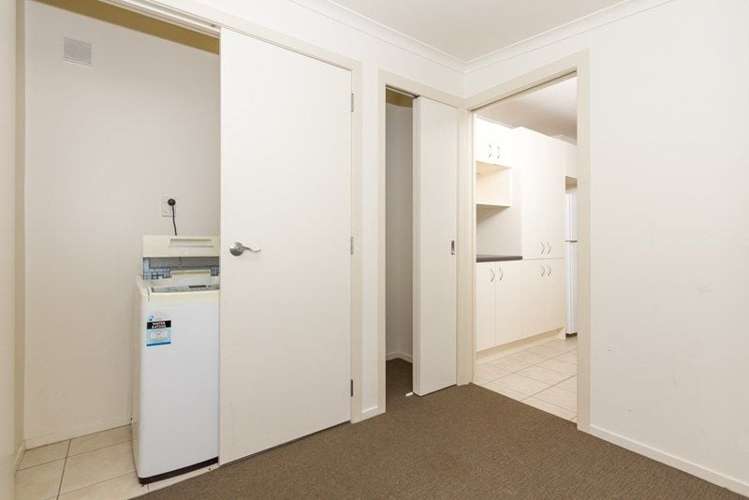 8B Snead Place Hamilton East_3