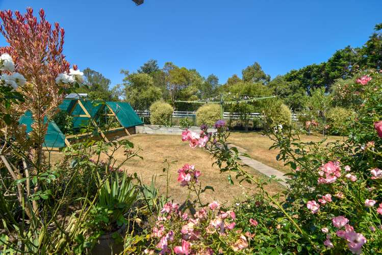 149 Lincoln Road Carterton_19