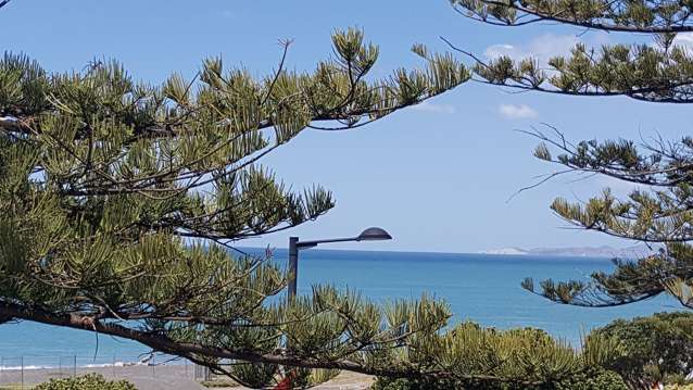 251 Marine Parade Napier South_3