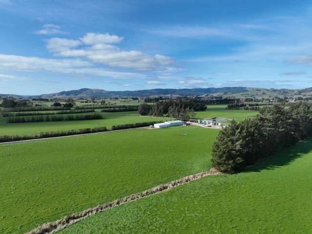 113 Scott Road Milton_1