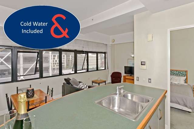 Furnished Two bedroom on Quay **** INCLUDES CO...