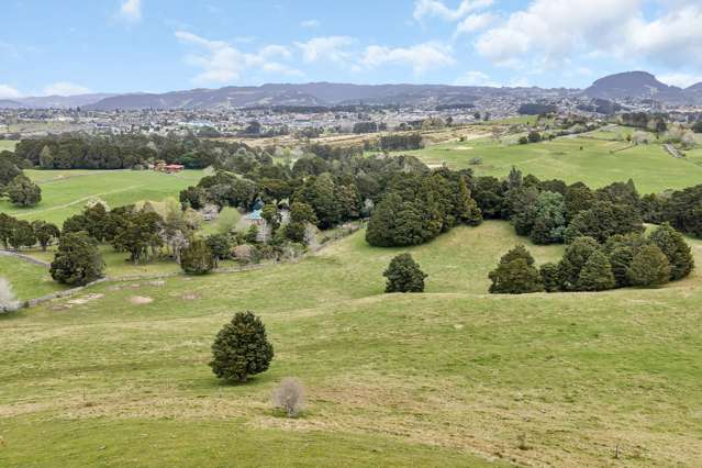 Lot 1, 106 Totara Park Lane Glenbervie_4