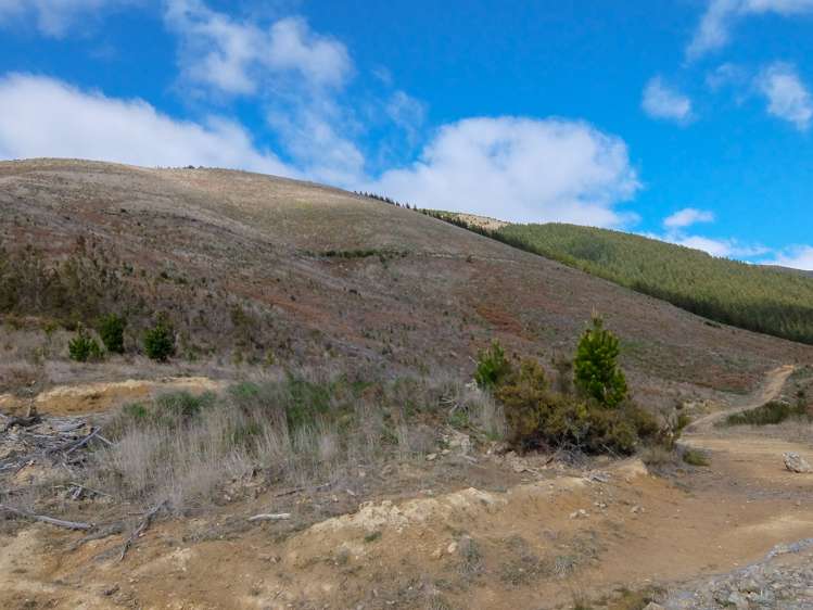 State Highway 63 Wairau Valley_11