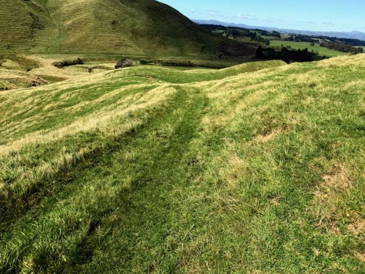 . Tamaki East Road Dannevirke_5