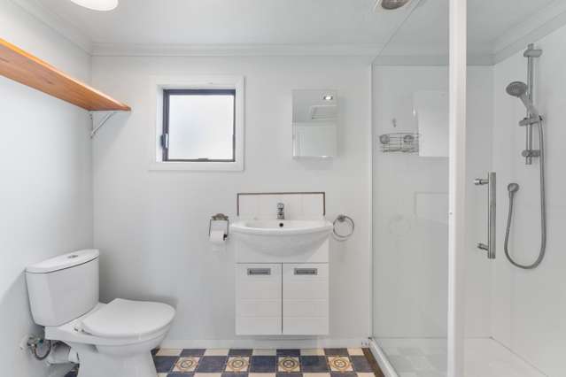 105 Harper Street Gonville_4