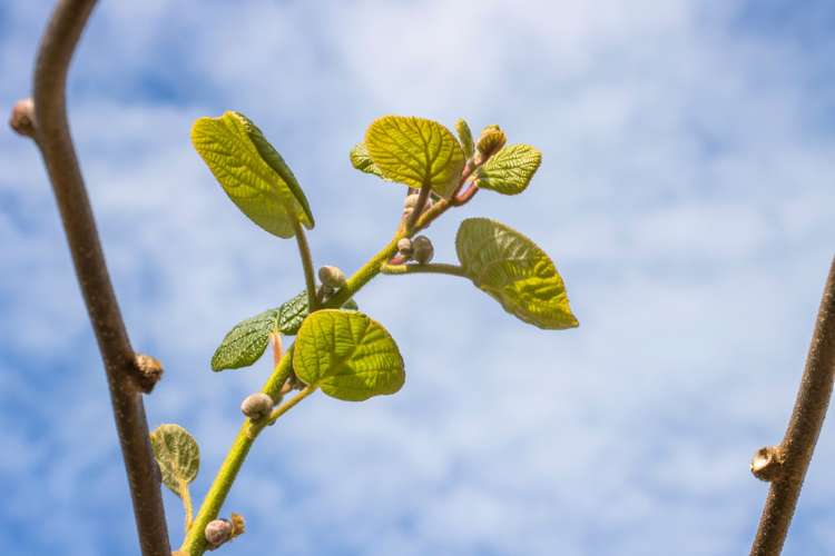493a Golden Valley Road Waihi_5