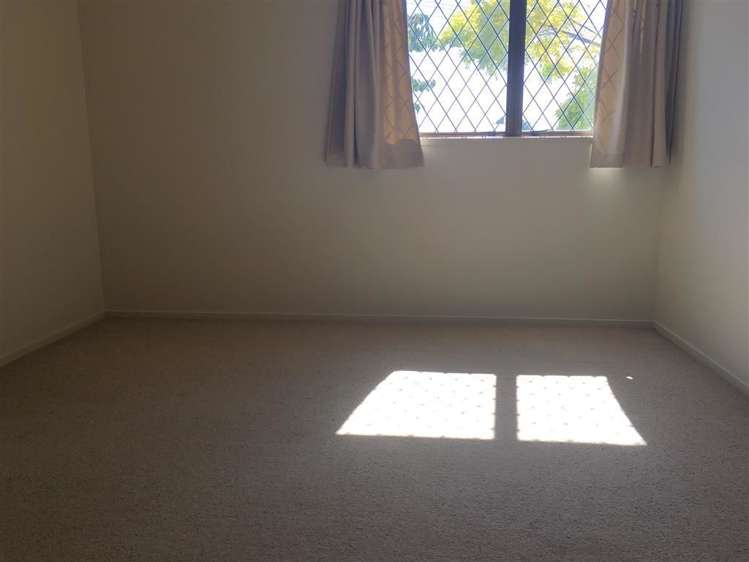 24 Marewa Road Greenlane_11