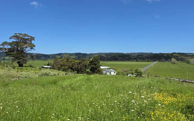 84 Kiwitahi Rd Helensville_1