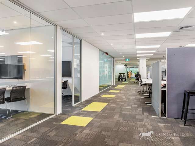 100 Carlton Gore Road Newmarket_1