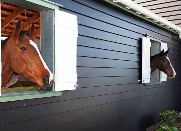 203g Karaka North Road Karaka_30