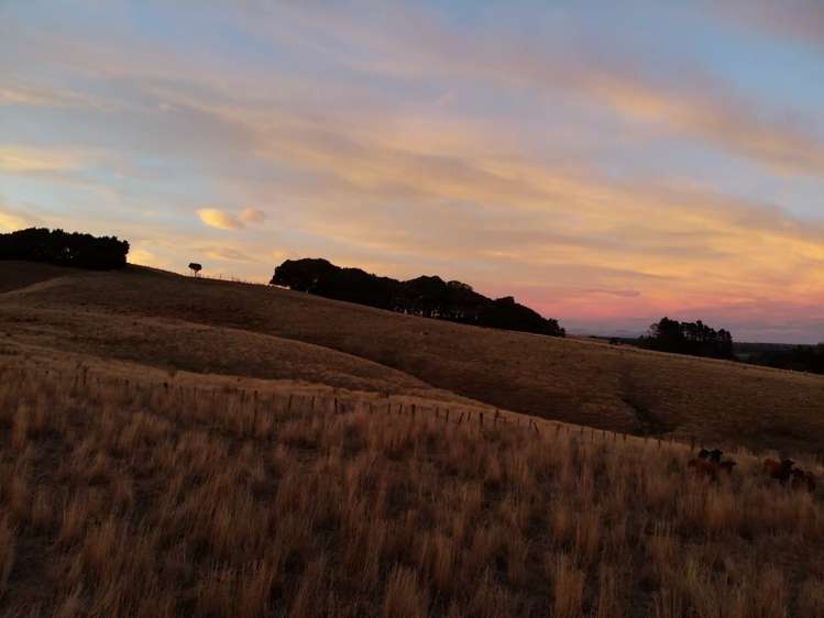 490 Bluff Rangitumau Road Rangitumau_6