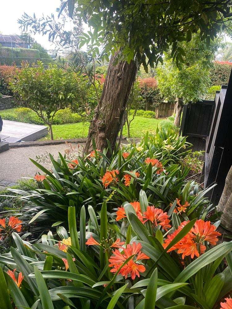 66 Arney Crescent Remuera_25