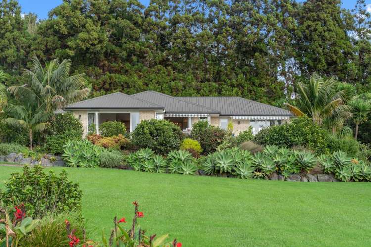 73 Avocado Lane Mangawhai_4