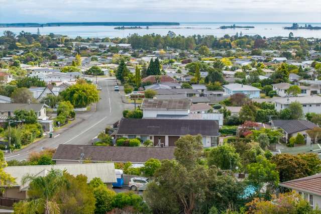 48 Marlborough Crescent Richmond_2