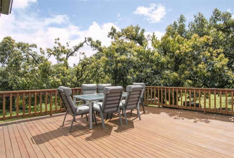 413 Kauri Point Road Hauraki Surrounds_10