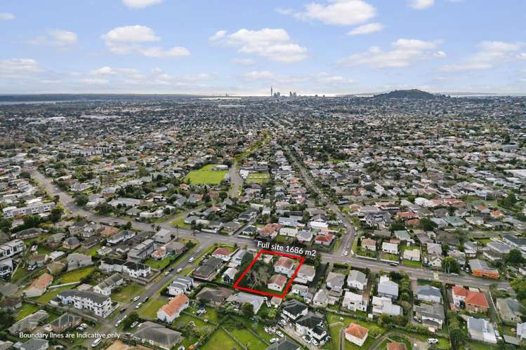 299a Mount Albert Road_3