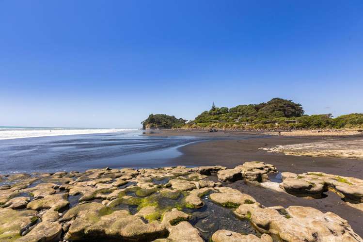 Wai-iti Beach Retreat Beach Road Waiiti_24