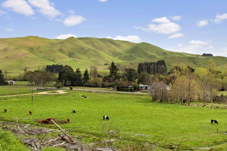 273 Mikimiki Road Mikimiki_10