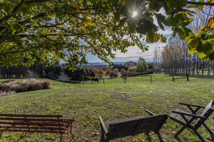 149 Parnassus Road Cheviot_13