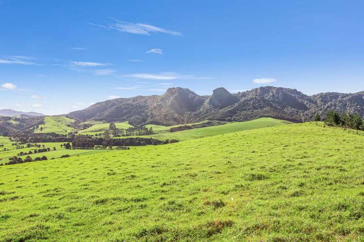 20 Salvation Road Totara North_11