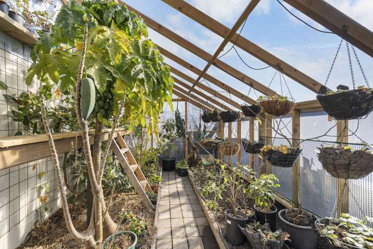 22 George Street Rolleston_25