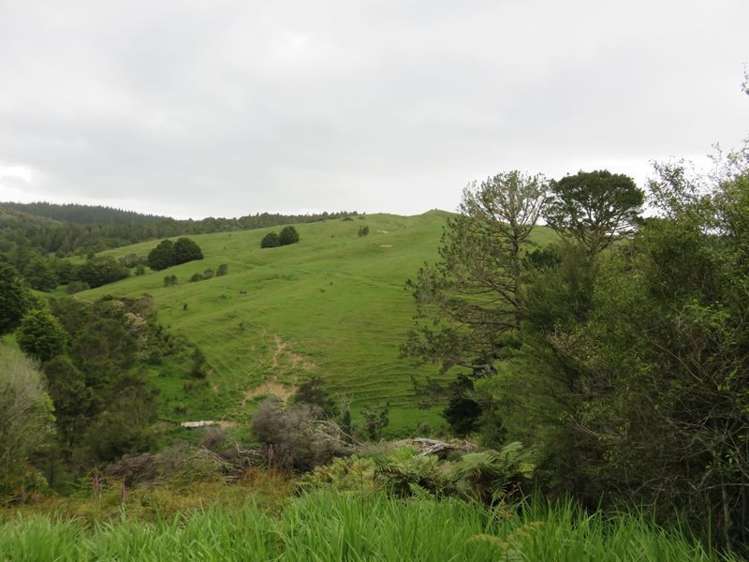 401 Humphreys Road Panguru Far North Houses for Sale One Roof