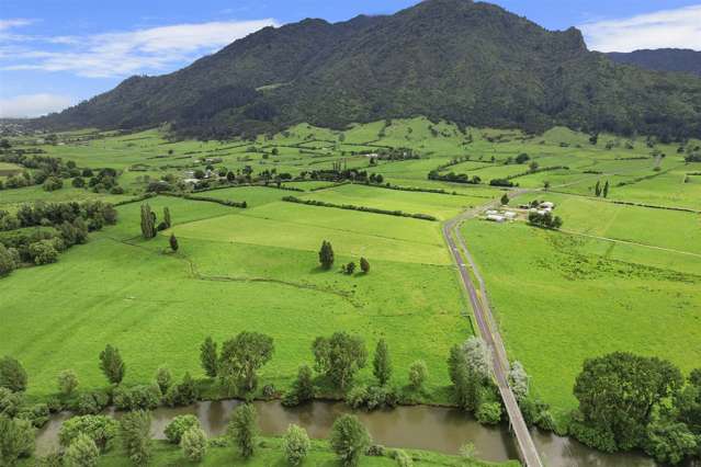 208 Te Aroha-Gordon Road Hauraki Surrounds_1