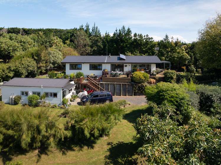 313 Youngson Road Whakamarama_24