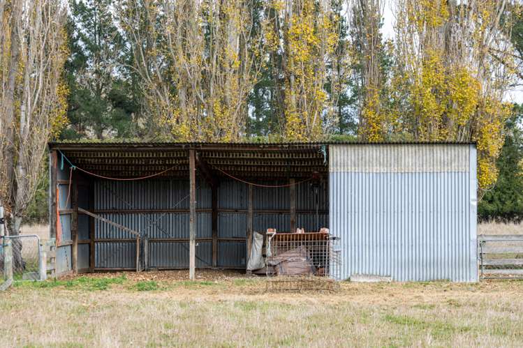 86 Johnstone Street Tinwald_21