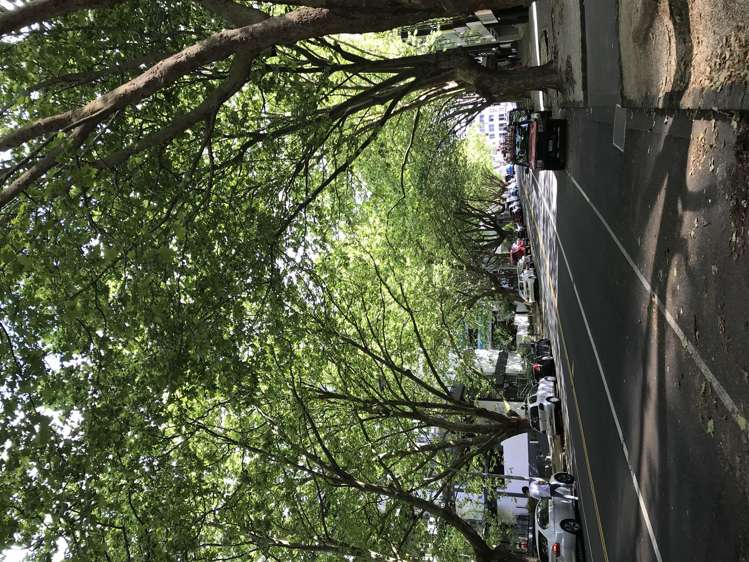 7d/113 Vincent Street Auckland Central_8