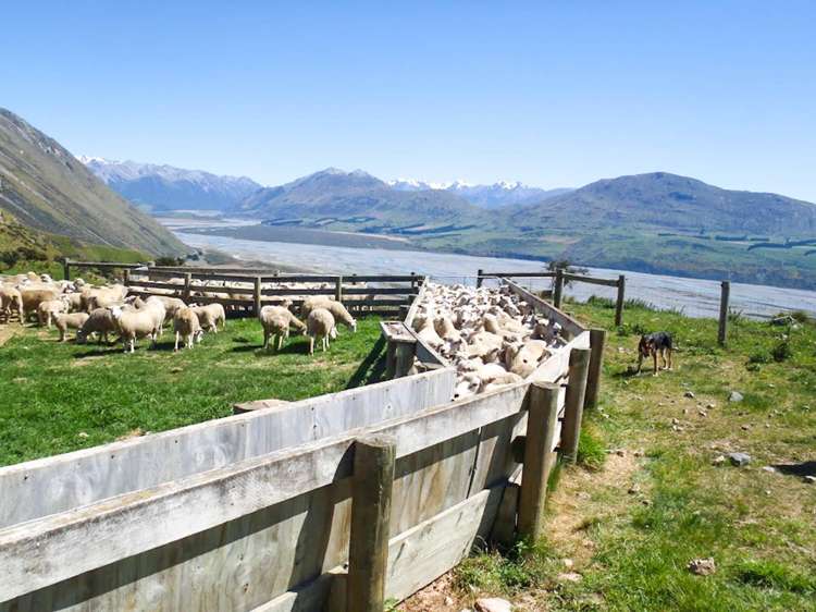 1551 Double Hill Run Road Rakaia Gorge_15