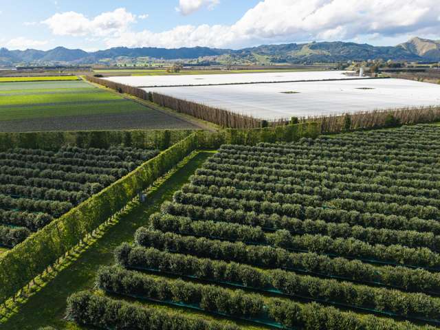 590 Matawai Road Waerengaahika_2