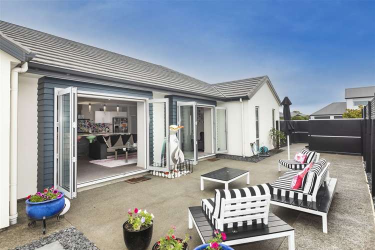 5 Torrey Pines Waimairi Beach_9