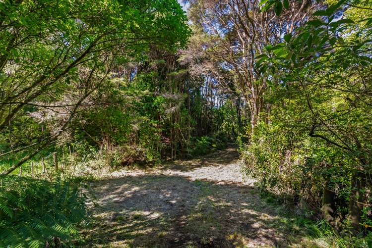 565 Whitford Road Whitford_18