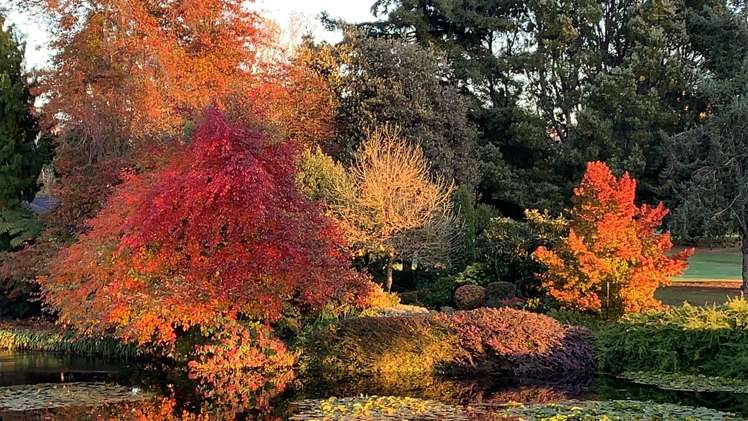 93 Motueka Quay Motueka_20