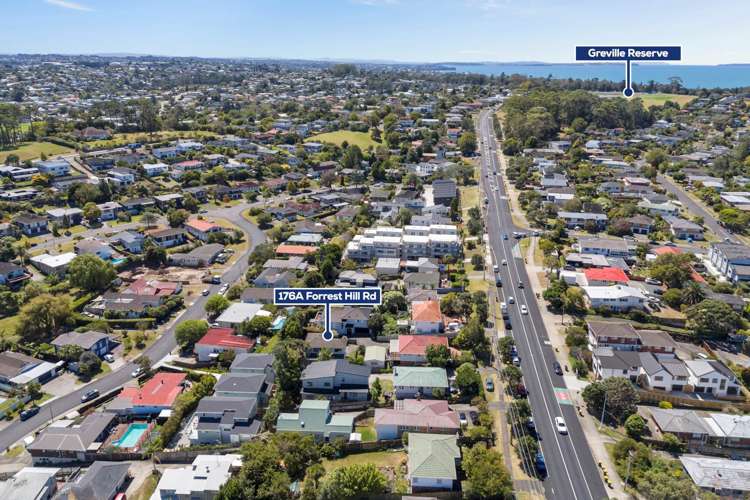 176A Forrest Hill Road Forrest Hill_26