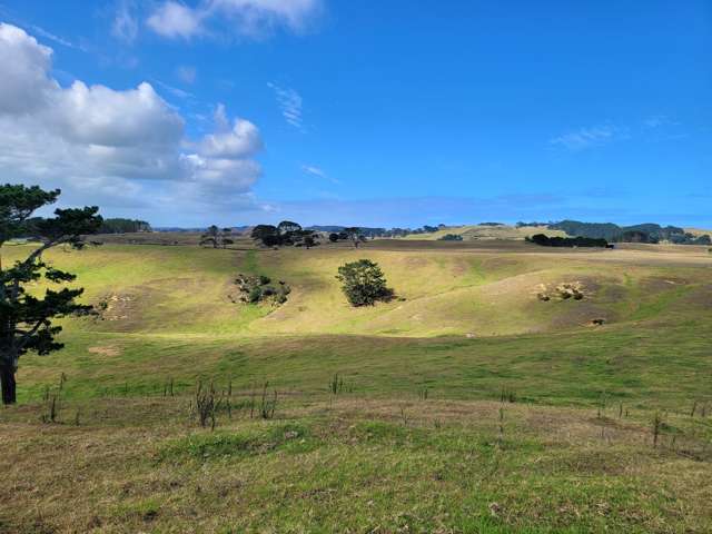 1008 Te Maire Road Te Kopuru_4