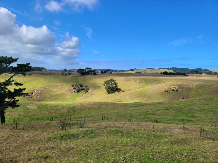 1008 Te Maire Road Te Kopuru_4