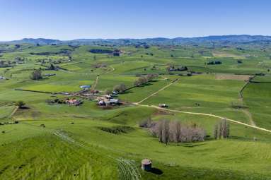 1356 Otorohanga Road, State Highway 3_2