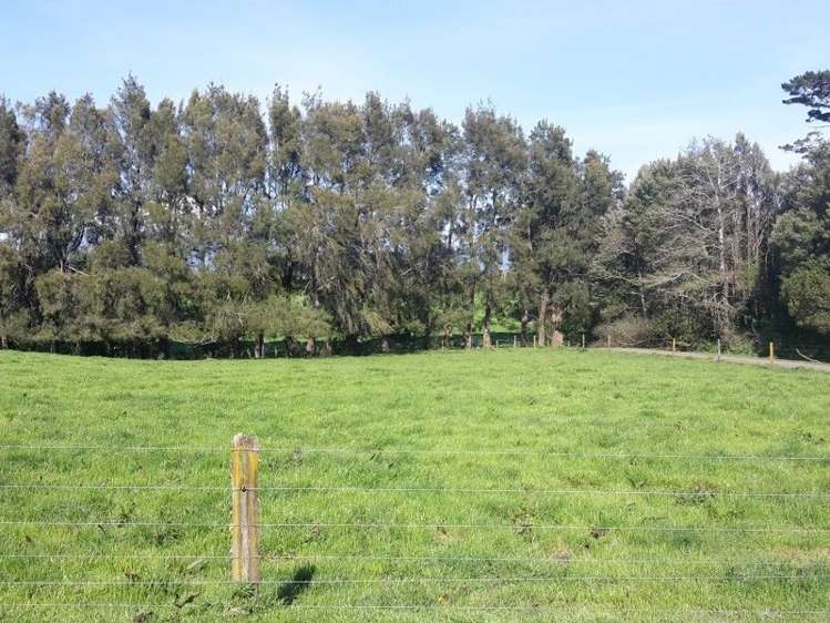 346 Rugby Road Tariki_9