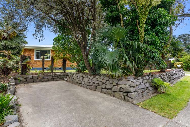 228 King Street Whakatane_6